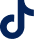 tiktok logo